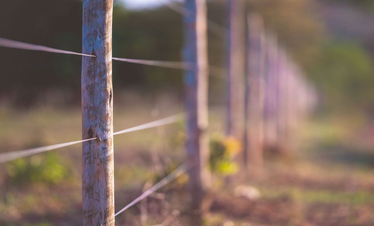 Wire-rope and wood barriers